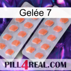 Gelée 7 27